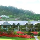 엘리시안강촌수영장 이미지