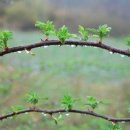 별주막 - 군포시 | 별주막