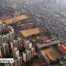 심원초 이미지