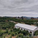 오길농장 이미지