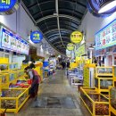 활어세상 | 대포항횟집 선복호활어 확실히 양 많은 대게세트 후기