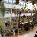 화승곱창 이미지