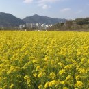 황산공원 이미지