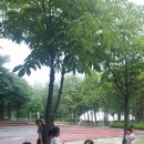 꿈나래유치원 이미지