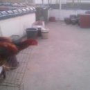 승현농장 이미지