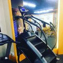 바디피티 이미지