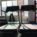 복싱트라이브 이미지