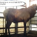 주영농장 이미지