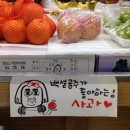 마트짱 티스토리