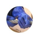 내유카센타 이미지