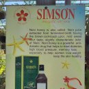푸꾸옥, 택시 투어, Sim 와인 공장 ( 2023년 12월 16일, 토 ) 이미지