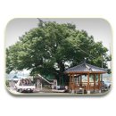 옥대3리 이미지