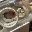 모아제일산부인과의원