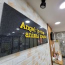 엔젤독스애견 이미지