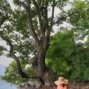 송남주유소 이미지