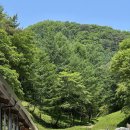 송호목장 이미지