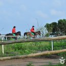 성읍승마장 이미지