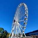 스쿠터뱅크 | 브리즈번 도심 산책: 사우스뱅크에서 시티 보타닉 가든까지, 하루에 담은 여유