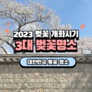 한수제 일원 | 2023 벚꽃 개화시기 축제 일정 대한민국 3대 벚꽃명소 작년 직접 다녀온 후기