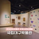 국립대구박물관 버스정류장 | 대구 아이랑 체험 국립대구박물관 어린이박물관 실내 가볼만한곳