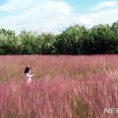 낙동 면옥 이미지