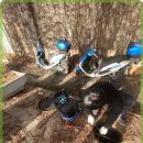 보수종합시장 이미지