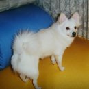 만수1동-8 이미지