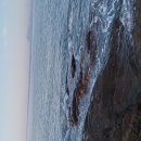 서해안카센타 이미지