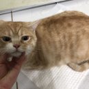 관양2동 행정복지센터 이미지