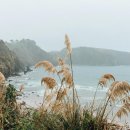 공단황금어장 | 양평 계곡 펜션 가성비 끝판왕 TOP 5 🌊🏕️ 물놀이까지 완벽한 휴양지 추천