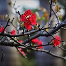 <오거리 사진관> 이미지