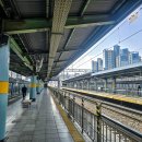 2025년 4월 3일 (목) 안양천 벚꽃길 걷기 (리딩: 헬멧님) &amp; 선유도공원 홀로걷기 이미지