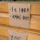 개울 | 애견동반가능 남한산성계곡카페 개울테라스 내돈내산 솔직후기