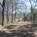 꽃과차가있는샘터 이미지