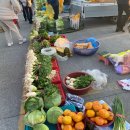 남대천제방길 | [시장] 강릉 새벽시장 다녀왔어요_새벽시장 이용안내_김장시장개장