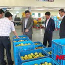 춘천원예농협 산지유통센터 이미지