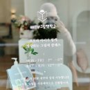 지혜의숲한우리독서토론논술