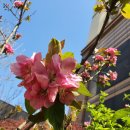 마중공인중개사사무소 이미지