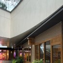 디플랫 성수 | 서울숲 빵집 디타워 카페 레브레드 성수 방문 포장 후기