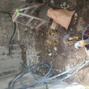 동성동010 이미지