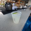 명성카인테리어 | 3월 뉴욕칸쿤 신혼여행｜칸쿤 스칼렛아르떼 1일차