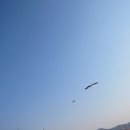 선창 이미지