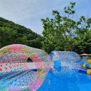 일랑일랑 스테이 이미지