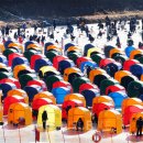 함께 즐기는 리듬 스포츠 B 이미지