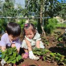 ❇️아름다운 우리나라의 전통문화를 경험해보아요✴️ (고구마캐기&유과만들기) 이미지