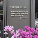에르바헤어 | 로데오 핫이슈 향이 좋은 ' 에르바리오 토스카나"