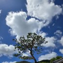 화엄경 노트 (174-1 이세간품 4.보현보살의 이천답) 이미지