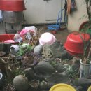 여여식당 이미지