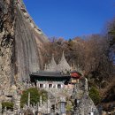 남부 부부시비 이미지