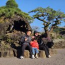 석부작박물관 이미지